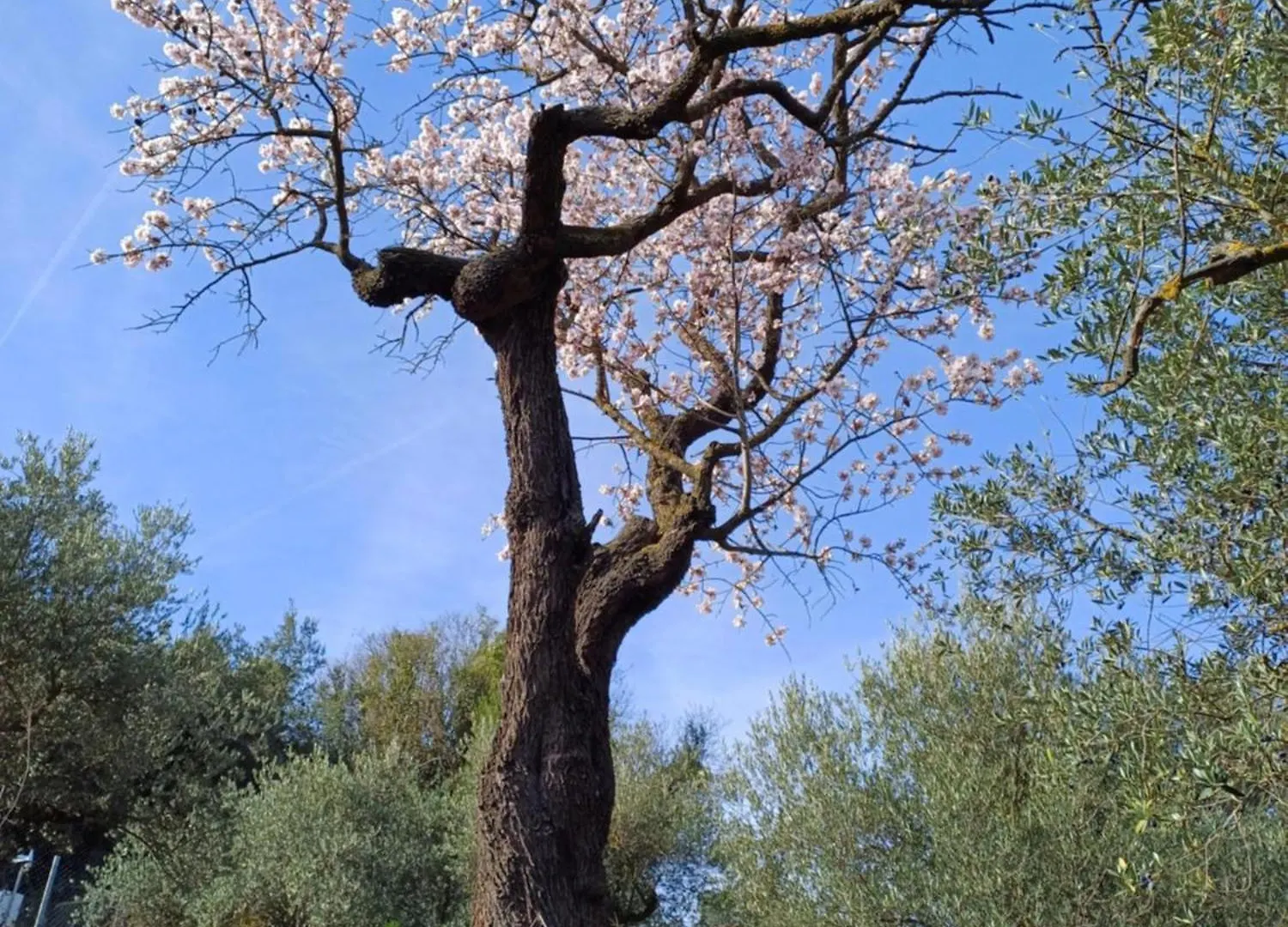 Casa vacanze Priorat Ca La Iolanda 